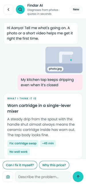 Findar app: What Findar AI thinks it is