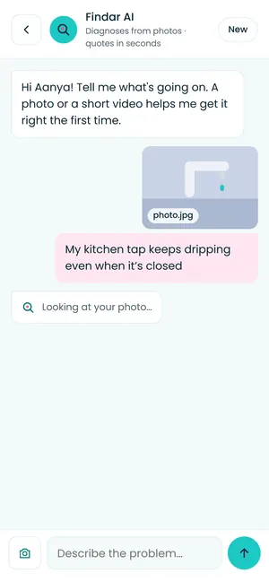 Findar app: Looking at your photo