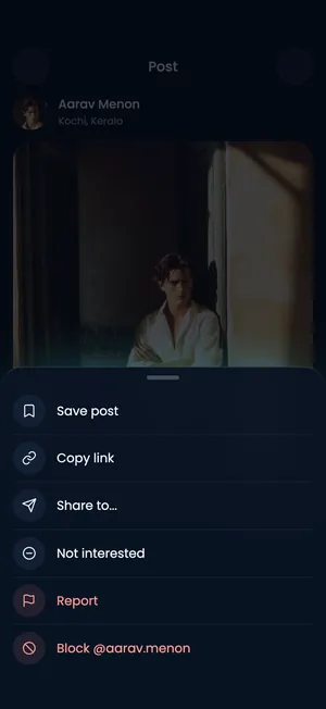 Pluto app: Post options